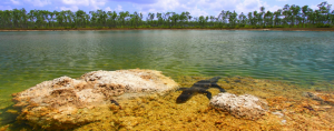 Florida Boating in Everglades National Park